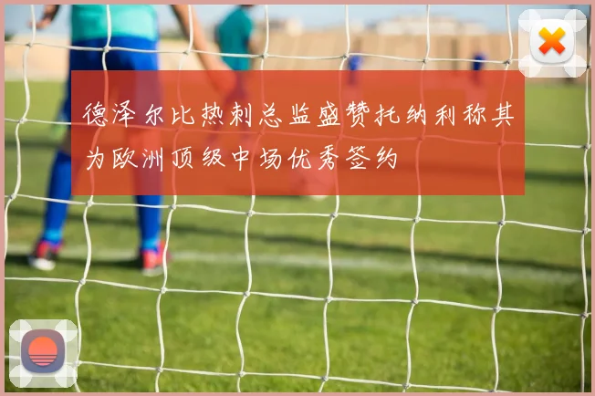 德泽尔比热刺总监盛赞托纳利称其为欧洲顶级中场优秀签约