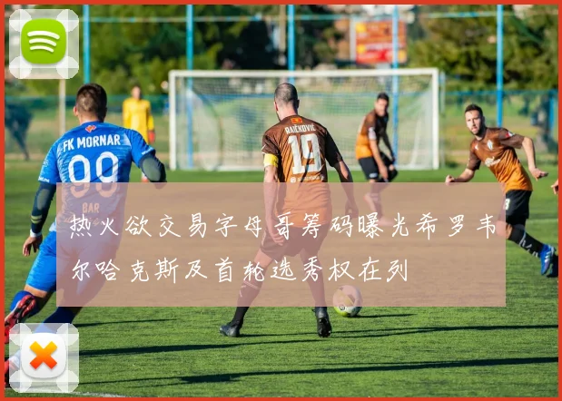 热火欲交易字母哥筹码曝光希罗韦尔哈克斯及首轮选秀权在列